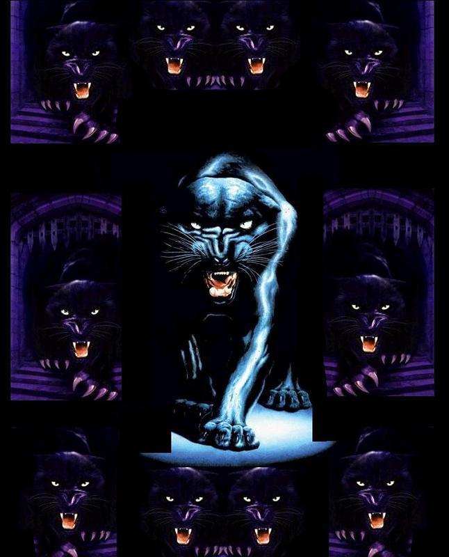 Panther