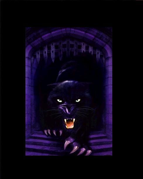 Panther1