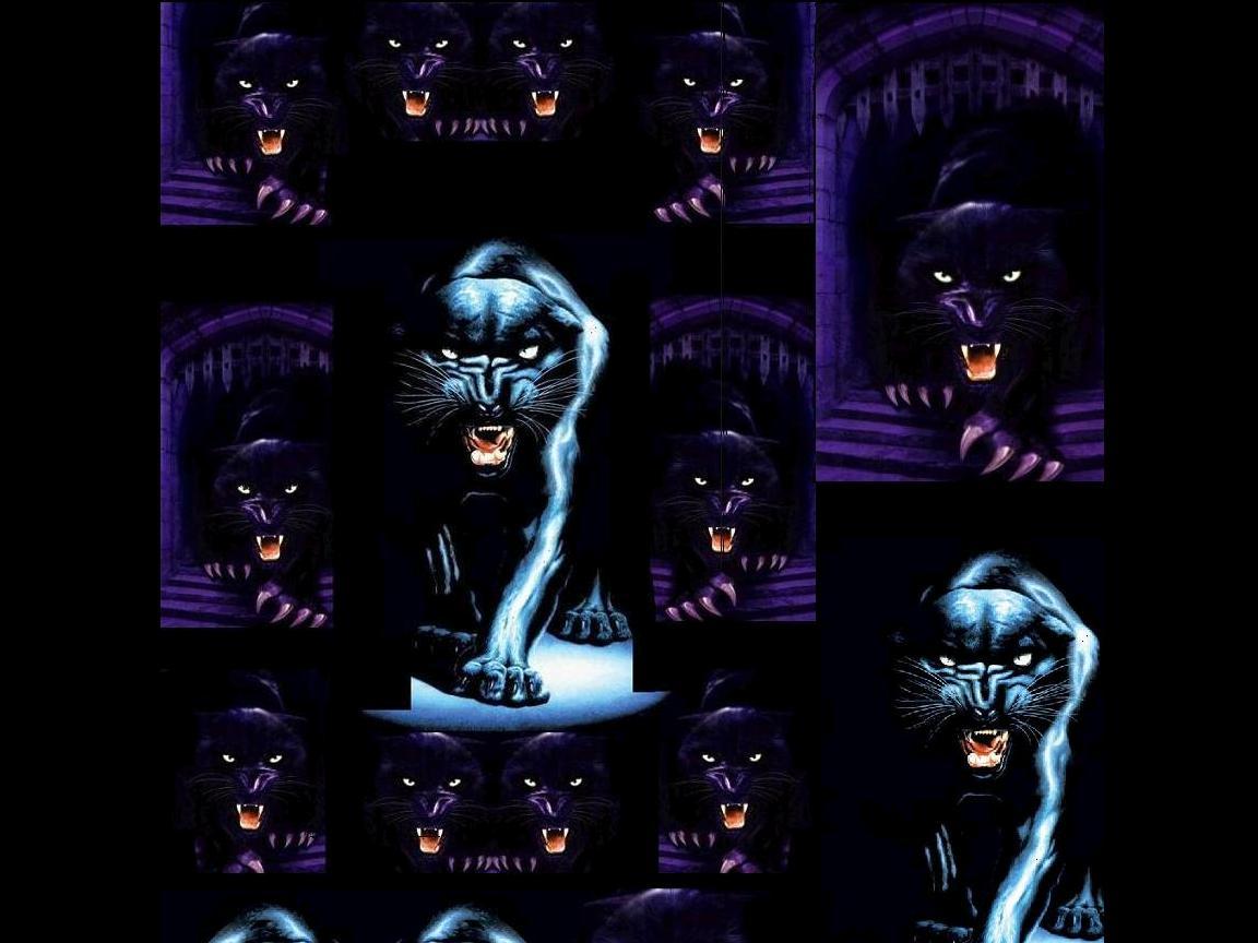 Panther