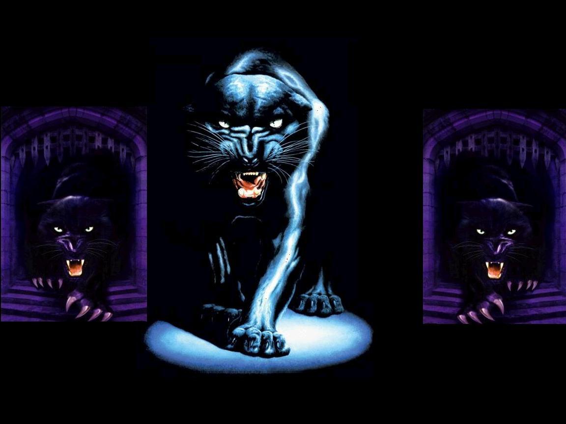 PANTHERBG
