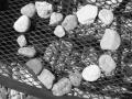 Love stones
