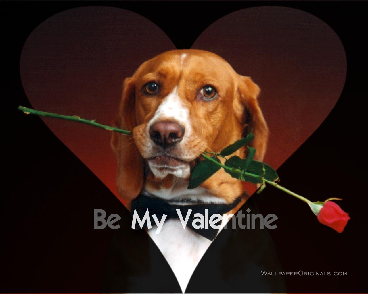 Happy Valentines Day