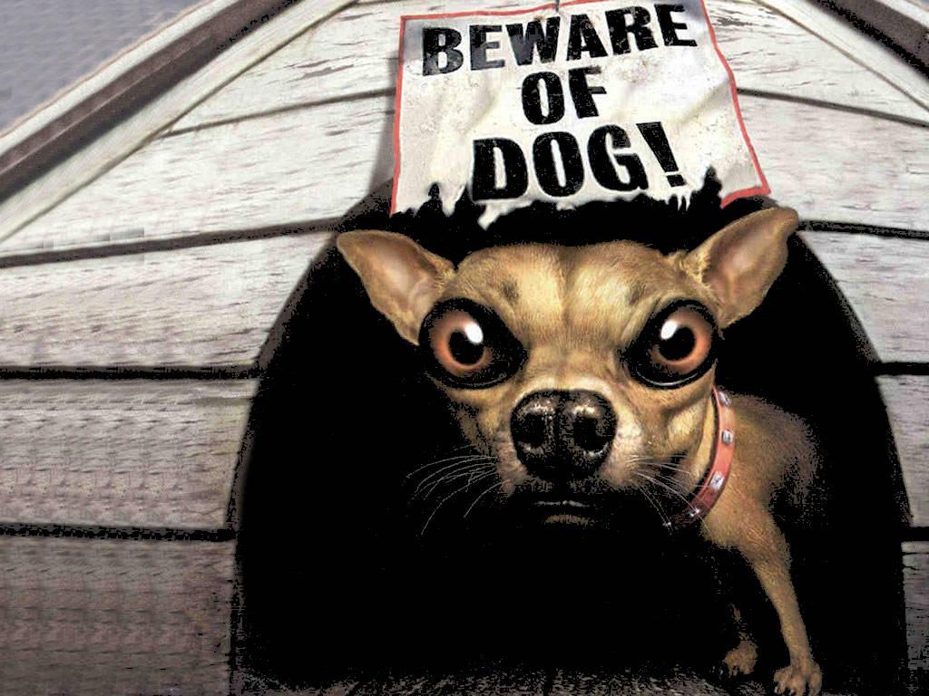 Beware of Dog