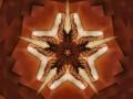 psychedelic starfish