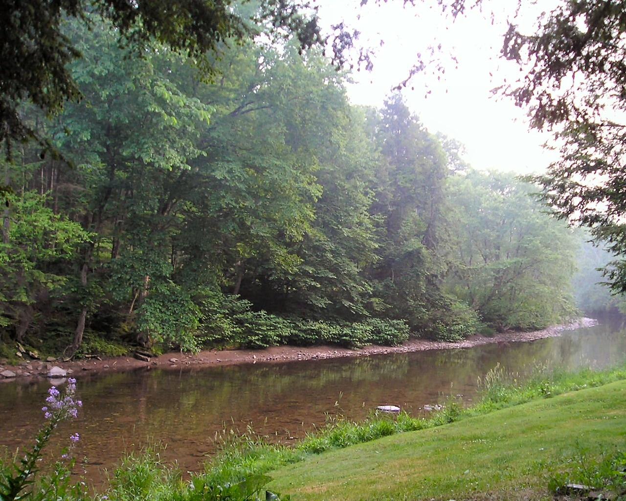 Morning Mist On River