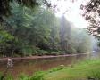 Morning Mist On River