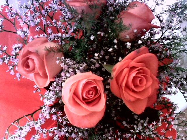 Bouquet of roses