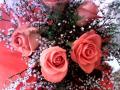 Bouquet of roses