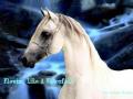 Casey