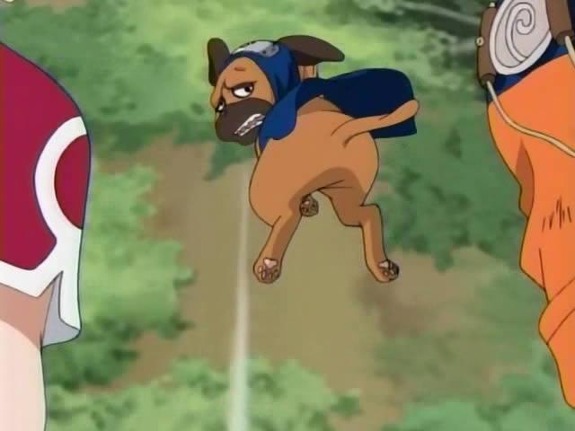 Pakkun