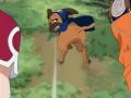 Pakkun