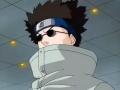 Shino