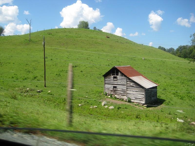 cow house