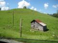 cow house