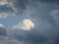 white cloud