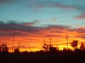 Sunset in the Delta