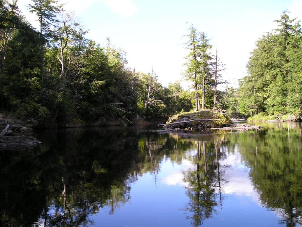 Northwoods River Scene