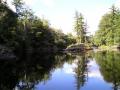 Northwoods River Scene