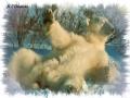 PolarBear