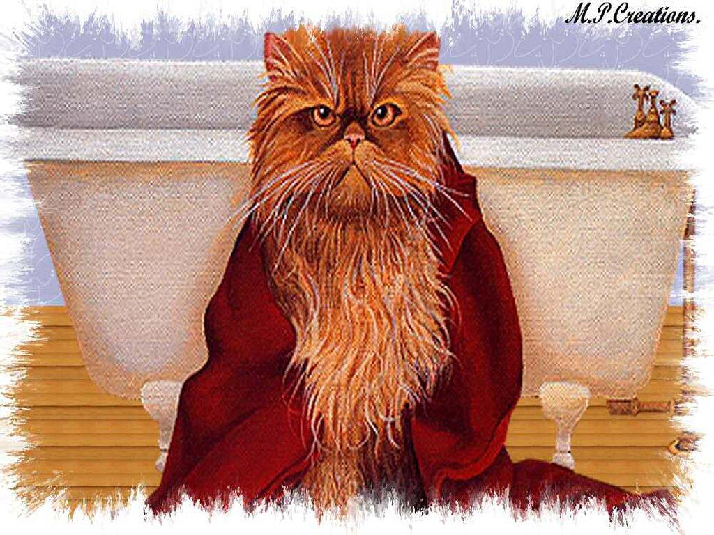 Cats2