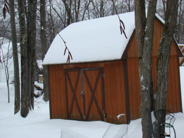 winter