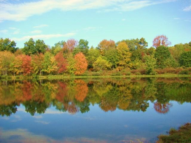 fall
