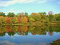 fall