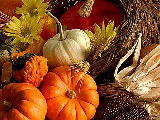 autumn bounty