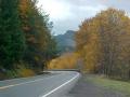 Autumn along the Umpqua