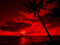 Red Night