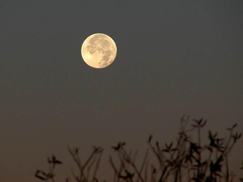 Our Beloved Moon