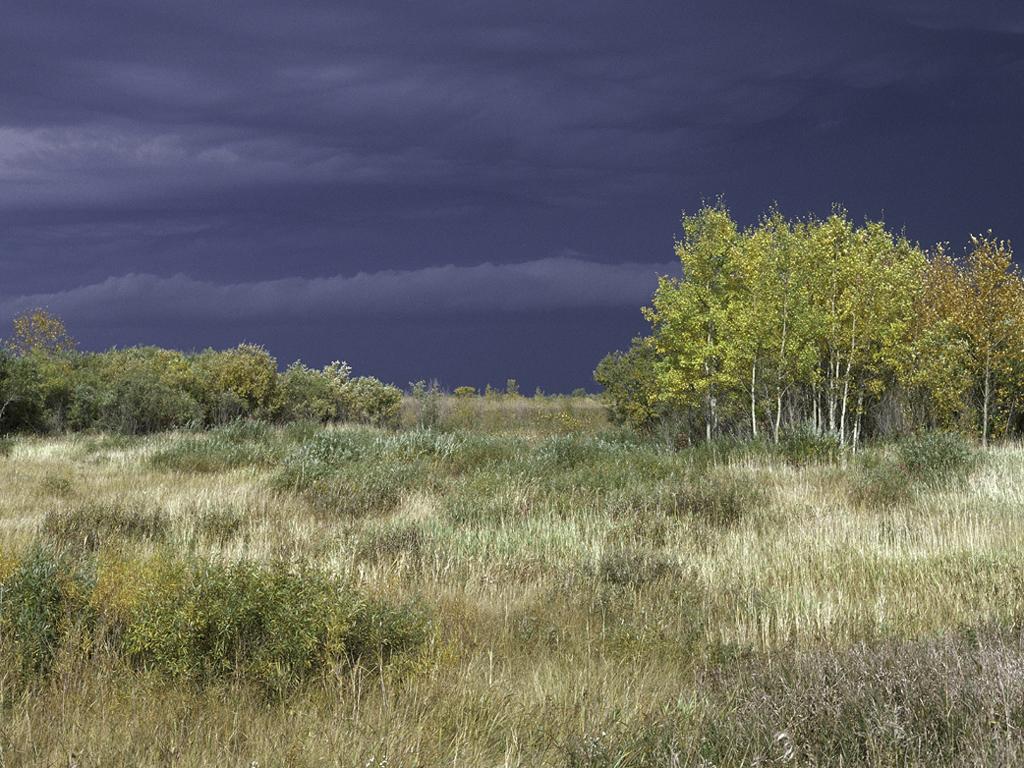 Agassiz National Wildlife Refuge