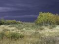 Agassiz National Wildlife Refuge